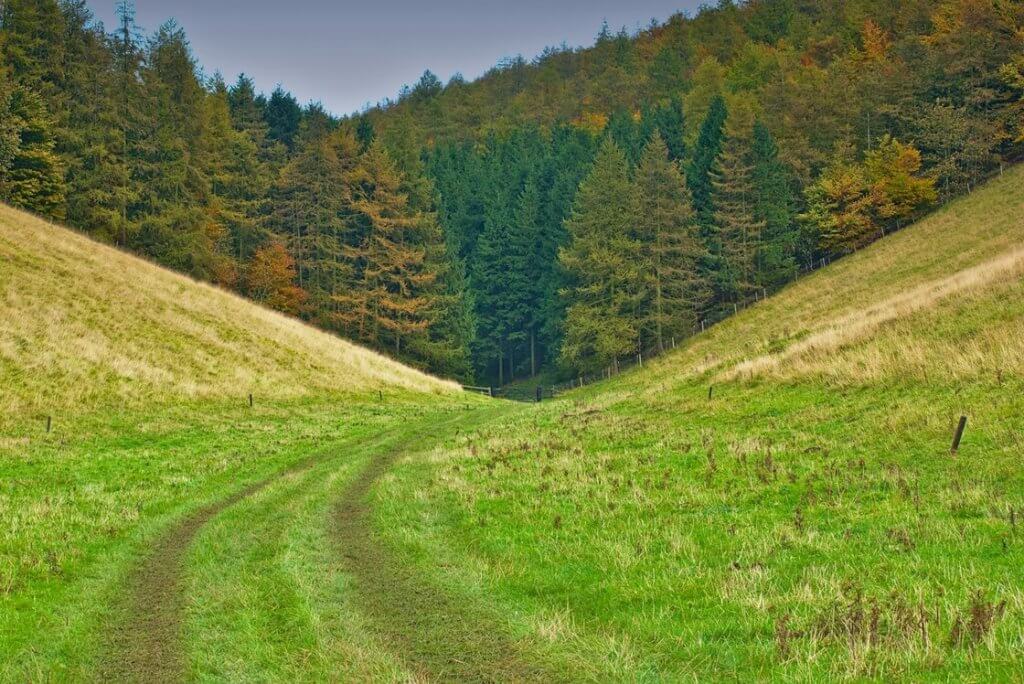 The Yorkshire Dales are easy to reach from the city of Leeds.